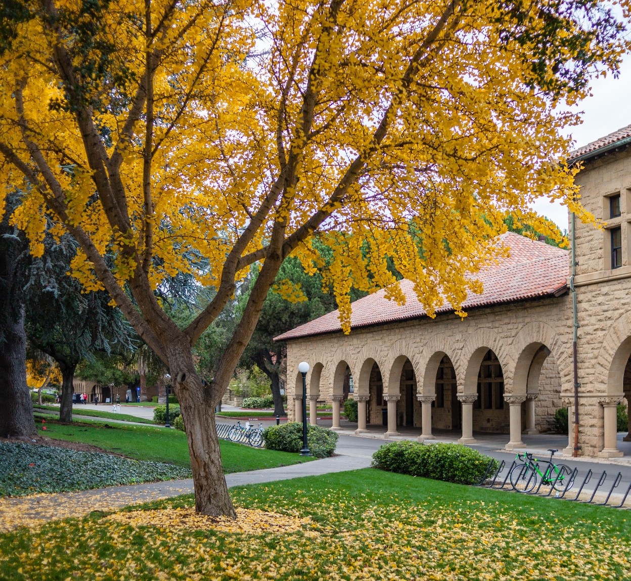 What Are the Best Places to Visit Around San Francisco? Silicon Valley Tech & Culture Day Tour