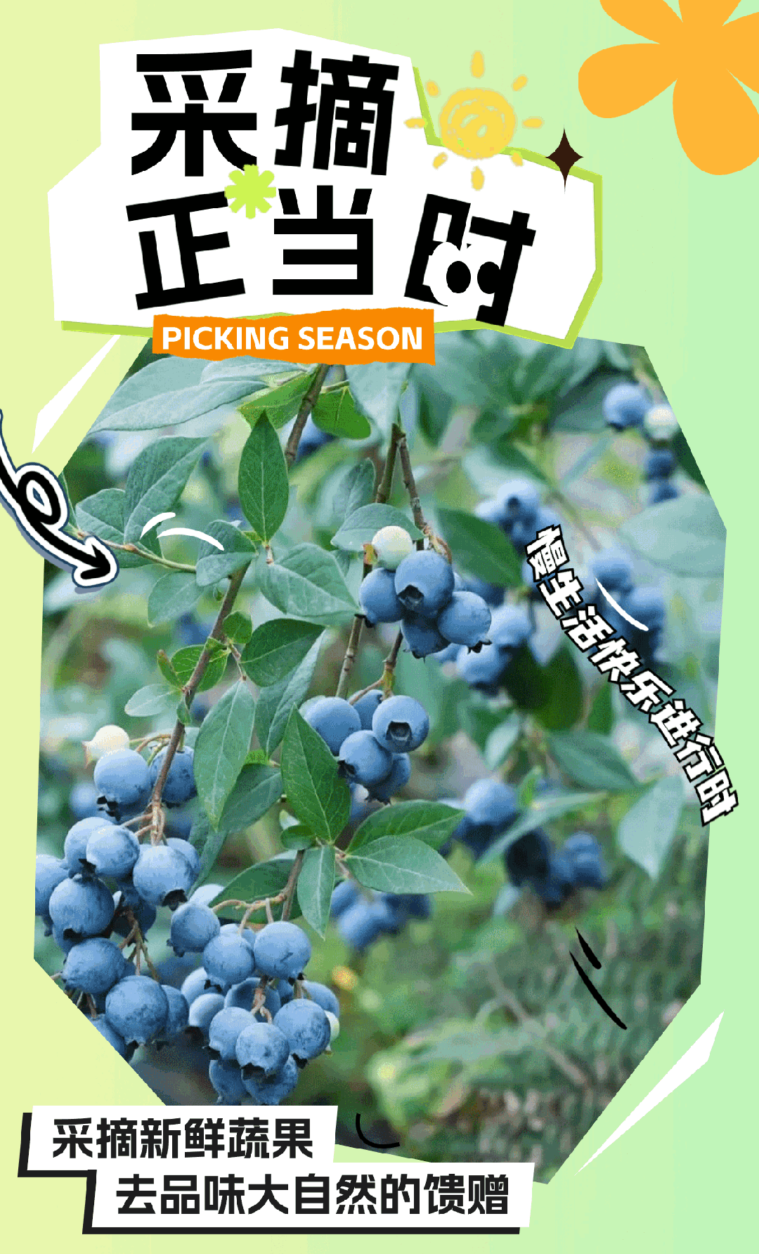 甜度爆表! 庐江采摘游走起